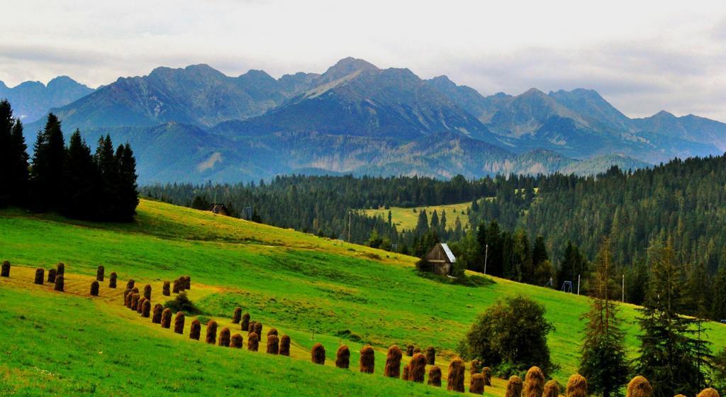 Villa Lypche Bešeňová Dış mekan fotoğraf