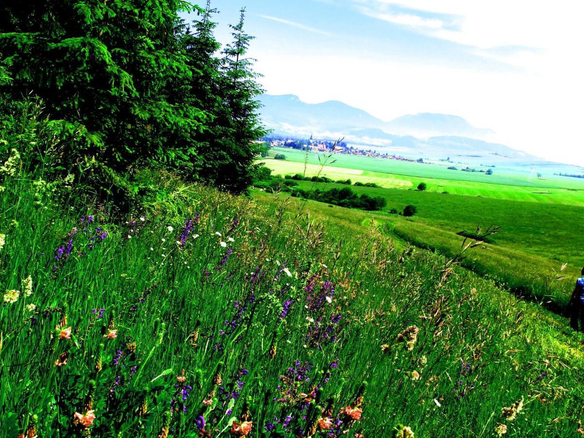 Villa Lypche Bešeňová Oda fotoğraf